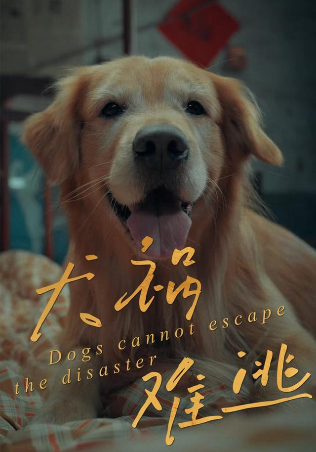 犬祸难逃