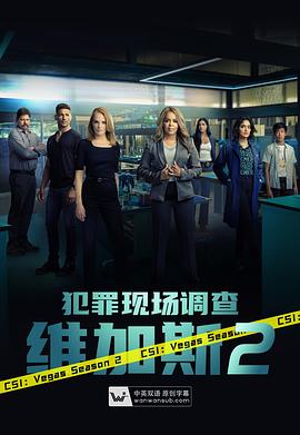 犯罪现场调查:维加斯 第二季