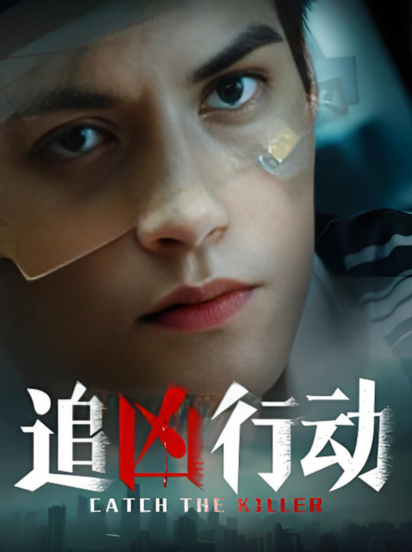 追凶行动